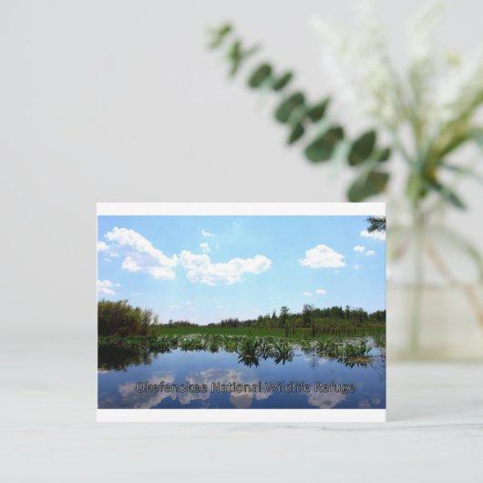 Nationaal wildreservaat Okefenokee Briefkaart (Staand voorkant)