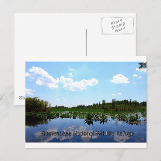 Nationaal wildreservaat Okefenokee Briefkaart (Voorkant / Achterkant)
