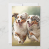 National Australian Shepherd Day, Aussie Dog Feestdagenkaart (Voorkant)