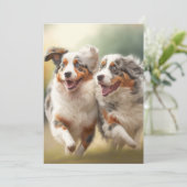 National Australian Shepherd Day, Aussie Dog Feestdagenkaart (Staand voorkant)