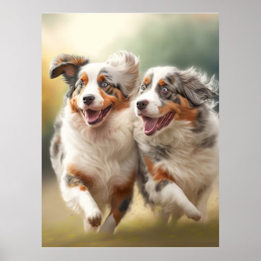 National Australian Shepherd Day, Aussie Dog Poster (Voorkant)