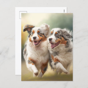 National Australian Shepherd Day, Aussie Dogs Feestdagenkaart