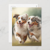 National Australian Shepherd Day, Aussie Dogs Feestdagenkaart (Voorkant / Achterkant)