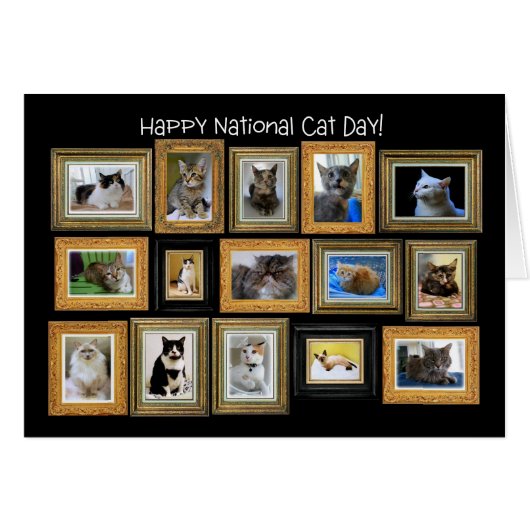National Cat Day, Cat Portrait Gallery Card (Voorkant Horizontaal)