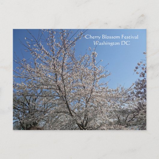 National Cherry Blossom Festival Washington DC 001 Briefkaart (Voorkant)