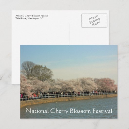 National Cherry Blossom Festival Washington DC 003 Briefkaart (Voorkant / Achterkant)