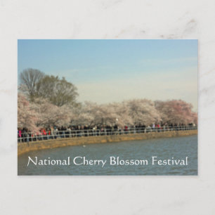 National Cherry Blossom Festival Washington DC 003 Briefkaart