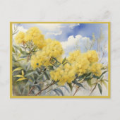 National Flower Australia Golden Wattle | Briefkaart (Voorkant)