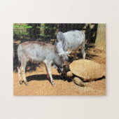 National Lick A Tortoise Day Puzzle Legpuzzel (Horizontaal)