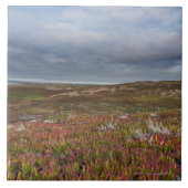 National North San Francisco 2 Point Reyes Tegeltje (Voorkant)