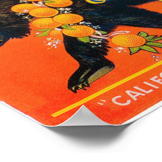 National Oranje ShowPoster #5 Poster (Hoek)