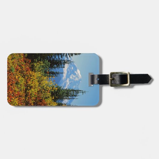 National Park 2 VS, Washington, Mt. Rainier Bagagelabel (Voorkant horizontaal)