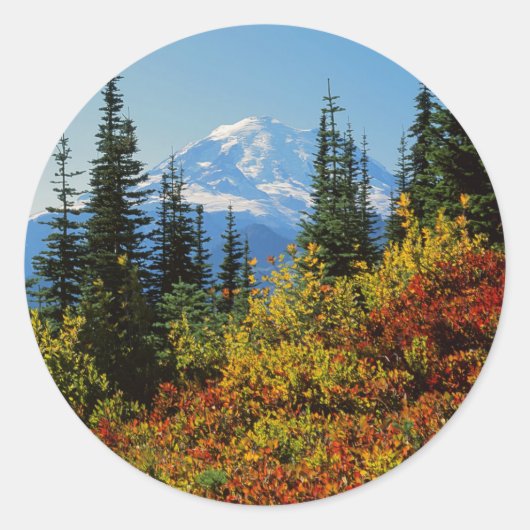 National Park 2 VS, Washington, Mt. Rainier Ronde Sticker (Voorkant)