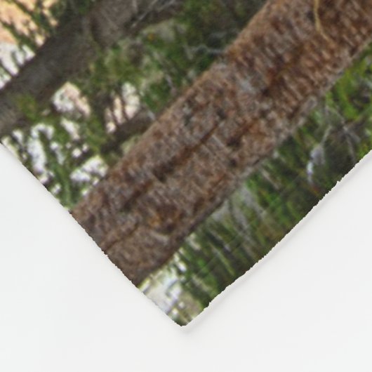 National Park 3 VS, Montana, Glacier Fleece Deken (Hoek)