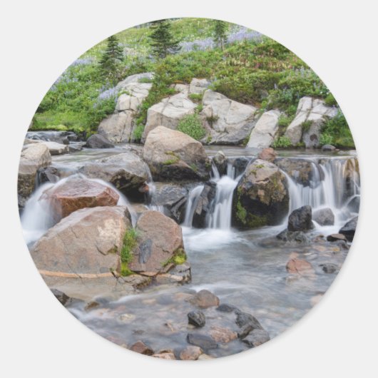 National Park 3 VS, Washington, Mt. Rainier Ronde Sticker (Voorkant)