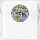 National Park 3 VS, Washington, Mt. Rainier Ronde Sticker (Tas)