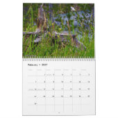 National Park Calendar-fotografie Kalender (Feb 2027)