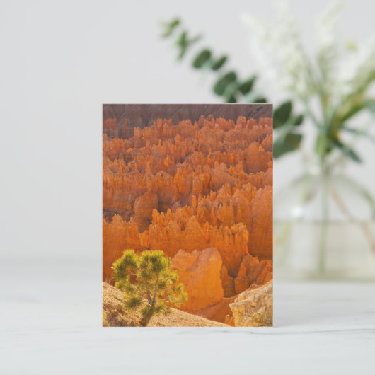 National Park USA, Utah, Bryce Canyon Briefkaart (Staand voorkant)