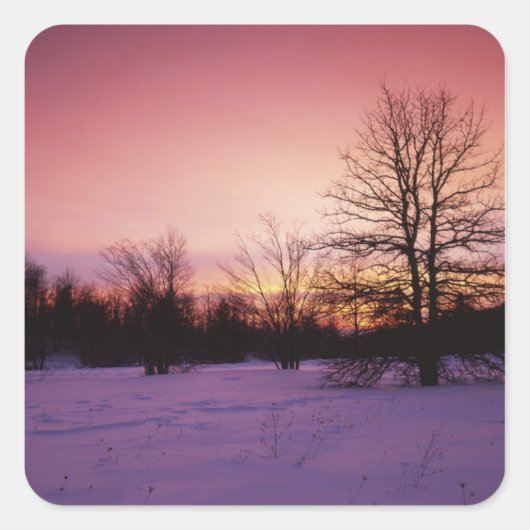 National Park van de Verenigde Staten, Virginia, S Vierkante Sticker (Voorkant)