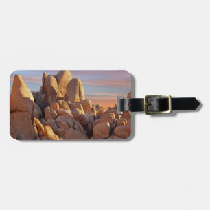 National Park VS, Californië, Joshua Tree Bagagelabel
