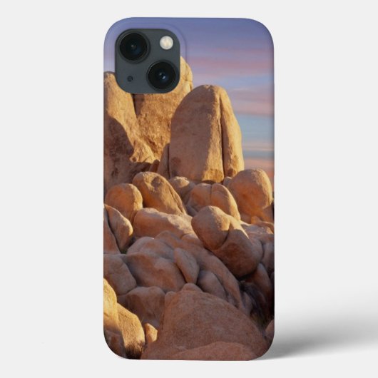 National Park VS, Californië, Joshua Tree Case-Mate iPhone Case (Achterkant)