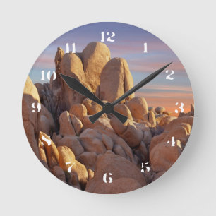 National Park VS, Californië, Joshua Tree Ronde Klok