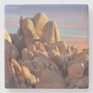 National Park VS, Californië, Joshua Tree Stenen Onderzetter