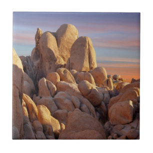 National Park VS, Californië, Joshua Tree Tegeltje