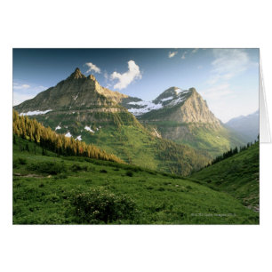 National Park VS, Montana, Glacier