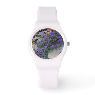 National Park VS, Montana, Glacier Horloge