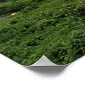 National Park VS, Montana, Glacier Poster (Hoek)