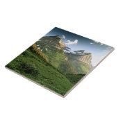 National Park VS, Montana, Glacier Tegeltje (Zijkant)