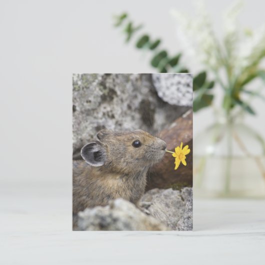 National Park VS, Washington, Noord-Cascades Briefkaart (Staand voorkant)