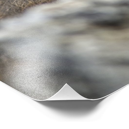 National Park VS, Washington, Noord-Cascades Foto Afdruk (Hoek)