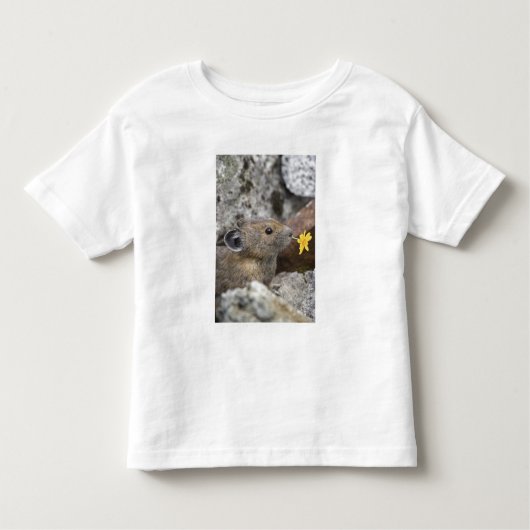 National Park VS, Washington, Noord-Cascades Kinder Shirts (Voorkant)