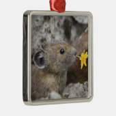 National Park VS, Washington, Noord-Cascades Metalen Ornament (Rechts)