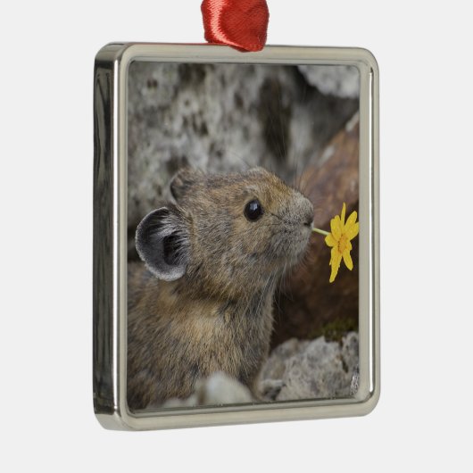 National Park VS, Washington, Noord-Cascades Metalen Ornament (Rechts)