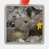 National Park VS, Washington, Noord-Cascades Metalen Ornament (Voorkant)