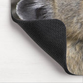 National Park VS, Washington, Noord-Cascades Muismat (Hoek)