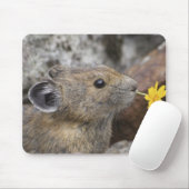 National Park VS, Washington, Noord-Cascades Muismat (Met muis)