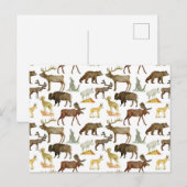 National Parks Wildlife Briefkaart (Voorkant / Achterkant)