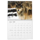 National Parks Wildlife Fotokalender Kalender (Mar 2027)