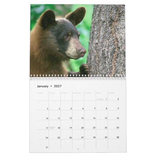 National Parks Wildlife Fotokalender Kalender (Jan 2027)