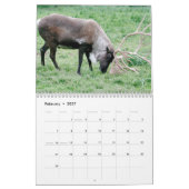 National Parks Wildlife Fotokalender Kalender (Feb 2027)