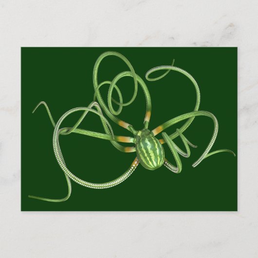 National Watermelon Day Octopus Briefkaart (Voorkant)