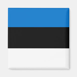 National World Flag Estland Magneet