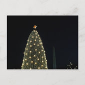 National Xmas Tree & Washington Monument at Night Feestdagenkaart (Voorkant)