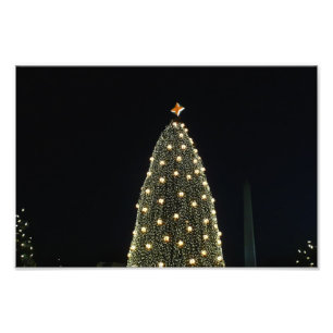 National Xmas Tree & Washington Monument at Night Foto Afdruk