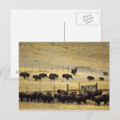 Nationale Bison Range Roundup in Montana Briefkaart (Voorkant / Achterkant)