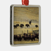 Nationale Bison Range Roundup in Montana Metalen Ornament (Rechts)